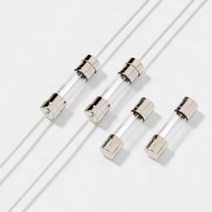 S506-1.25-R [T1.25A 5x20mm 250Vac Time-Lag 지연형FUSE휴즈퓨즈유리관휴즈부스만Eaton], 10개정품