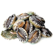 하늘뜰 완도 참 전복 1kg 30-40마리, 1