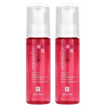 Andalou Cleansing 안달로우 내추럴스 로즈 천송이 클렌저 폼 클렌징 센시티브 5.5oz(163ml) 2팩, 2개, 163ml