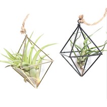 2021 hand made wicker 등나무 꽃 바구니 green vine pot planter hang vase container wall plant basket for gar, 26-36mm