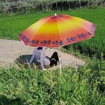 심플 미니파라솔 낚시파라솔 캠핑파라솔 바캉스파라솔, 기본