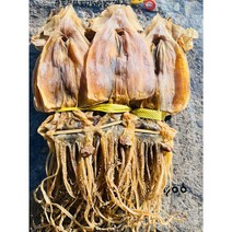 해맑은푸드 마른오징어 몸통 5미 (냉동), 300g(중), 1개