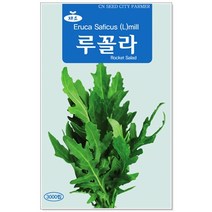 향채 씨앗 택1 고수/공심채/루꼴라/방아/강화순무/고들빼기/알타리/엇갈이/열무 등, 24번 루꼴라 3000립