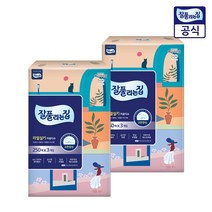 잘풀리는집 리얼실키 천연펄프 미용티슈 250매, 250개입, 6개