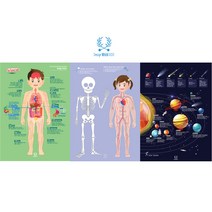 [디자인완두] A2 size 3종 인체2종+별똥별과우주