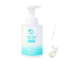 틀니 세정제 유지장치 교정 세척 의치 덴포밍50ml, 500ml, 1개