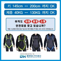 동현테크 [세계 최초 프리사이즈 안전벨트] - 더블 죔줄 벨트X, Free-S-H-02 (검정색) 벨트X, 1개