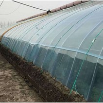 온실 비닐 야채 딸기 PO필름 와송키우기 비닐하우스, 8S 너비 20m 길이 1m