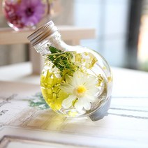 더봄 하바리움 써클보틀 프리저브드플라워, 지니아(화이트)/LED
