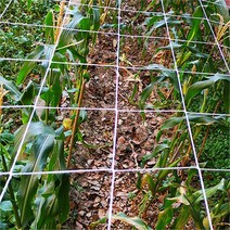 오이 그물망 고추 수박 참외 식물 넝쿨 끈 사각 원예용 네트, 본 상품, 1개