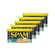 /씨제이제일제당 스팸 25%라이트 200g x 5개, 단품