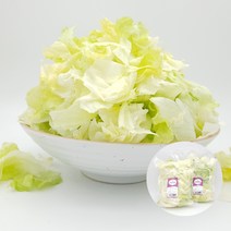 의령농산 건강채소 당일채소 당일제조 당일발송 양상추 컷 샐러드 대용량 1kg, 양상추 컷 샐러드 1kg