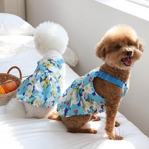 유앤펫 강아지옷 플라워 퐁퐁 볼륨 원피스(2XL), 블루