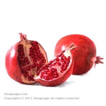 석류 추출물(Pomegranate Extract), 100ml