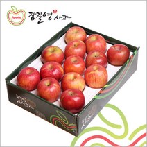 장길영사과 장길영 프리미엄사과 5KG 왕특대과(10-13과) 청송사과 산지직송, 1세트