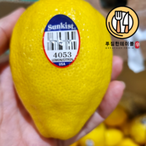 푸짐한테이블 레몬 소과103g내외 10개입, 1개