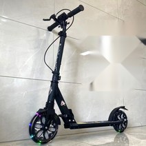 두발 킥보드 접이식 양발 전동 스쿠터 휴대용, 블랙플래시휠경량핸드브레이크풋브레이크