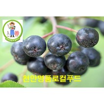 (달농 로컬푸드) 국내 최초 온라인 전문 로컬푸드 농부 재배 당일 발송 무공해 천연 아로니아 착한가격 생과 500g 분말100g(3병) 효소액 500ml (만족도100% ), 생과500g(3팩), 3개