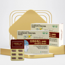 진큐피에스 브레인 3개월분 기억력향상 인지기능개선 두뇌영양제 포스파티딜세린 은행잎추출물 피브로인추출물 뇌영양제