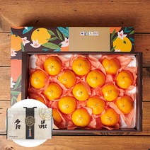 제주 천혜향 선물세트, 4.5kg 20-26과