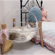 [민9직9] 반려동물 고양이 투명해먹 원목 캣선반 캣타워 투명침대
