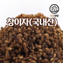 대흥한방 창이자 300g 국내산, 1개