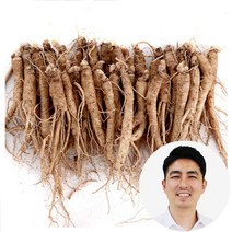(세척)인삼수삼 소삼계삼 50~60뿌리내외 대명이네인삼
