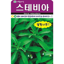 스테비아 허브씨앗50립 아람종묘 설탕의 300배정도의 천연감미료이며 다이어트 당뇨 환자에게