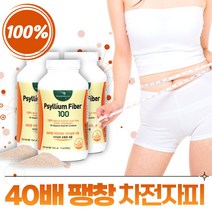 식약처 기능성 인증 차전자피 식이섬유 분말 영양제 차전차피 가루 보조제 차전자 씨앗 변비움 활동 직빵 수용성 섬유소 섬유질 psyllium 장 장청소 장운동 임산부 부모님 노인, 3개, 300g