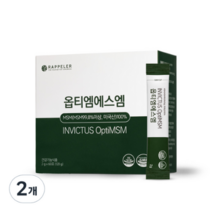 라플레 옵티 엠에스엠 60p 2개 120g