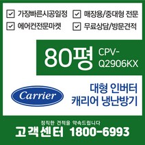 캐리어 중대형 스탠드 에어컨 인버터 냉난방기 80평 (CPV-Q2906KX)