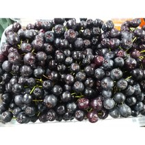 2022년 생산자직발송 아로니아 냉동과 10kg(아이스박스 포장)