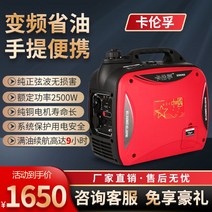 소형 가솔린 발전기 야외 0v 자동 주파수 변환 홈 모바일 전원 공급 장치가 휴대용 캠핑 스톨, [02] 오일 게이지로 2000W 수동 시작(클래식 베