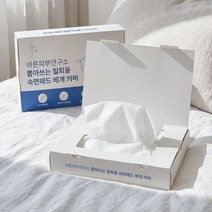 바른피부연구소 뽑아쓰는 일회용 베개커버