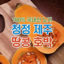 제주 땅콩 버터넛스쿼시 호박 3kg 5kg 9kg