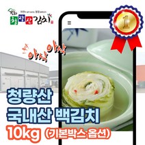 l 품담식품관 l 봉화 청량산 백김치 국내산 가정용 당일발송 아이스박스선택, 10kg, 1박스, 기본박스 x 백김치