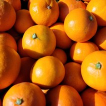 [무료배송]제주 직송 새콤달콤 고당도 비가림 꼬꼬마 감귤 3kg 5kg