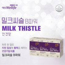 간건강 과 피로 활력 에너지 개선 관리 에 좋은 실리마린 비타민B군 복합 영양제 번아웃 기력 기운 체력 입맛 맥아리 없을때 힘들때 장년 중년 남성 여성, 3BOX(3개월분), 3개