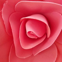 자이언트 플라워 1PC Fleur 장미 꽃 PE 거품 벽 배경 장식 인공 큰, 05 04_03 30cm