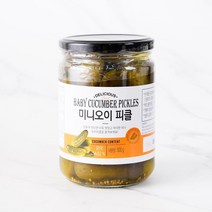[메가마트]딜리셔스 미니오이피클 500g, 1개