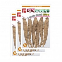아시아종묘 채소씨앗 - 더덕/양유(3gx3)