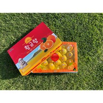 제주도 직송 황금향 가정용 3kg/5kg, 황금향 3kg(가정용)20과 전후