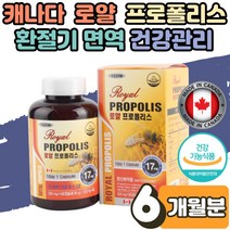 캐나다 로얄 폴리스 플라보노이드 플로 폴리 캡슐 구강 항균 건강 증진 통증 에도움 활성산소 억제 면역기능 항산화 혀 마름 갈라짐 성장기 어린이 청소년 부모님 어르신 선물 6개월