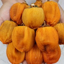 상주 곶감 반건시곶감 실속선물세트 둥시곶감선물세트 설선물 선물용, 상주 반건시곶감 실속선물세트 20과