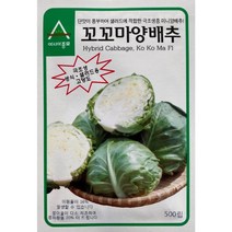 (양배추씨앗종자) 꼬꼬마 양배추(500립), 1개