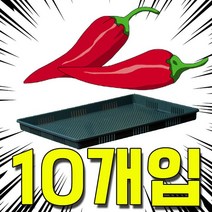 [플라스틱용기 플라스틱상자 건조기에서 열변형이 없는 고추 건조용 채반 10개입] YN6D555E