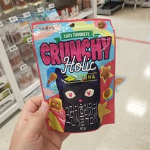 몰리스 크런치홀릭 연어 60g, 단품, 단품