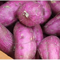 2023 햇 고구마 전북 익산 첫 고구마 밤 고구마 3kg 5kg 10kg, 1박스, 상