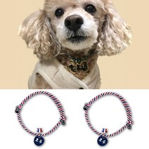 아미펫 강아지 고양이 이름표 목걸이 인식표, 1개