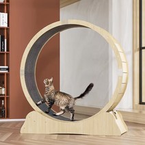 SeekFun고양이 캣휠 런닝머신 저소음 운동용품 캣폴 소형 강아지 사용가능, XL(120*37.5*130)